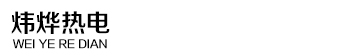 山东炜烨热电有限公司