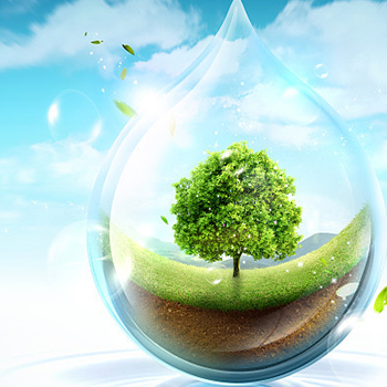 环保